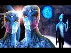 BLUE Avians